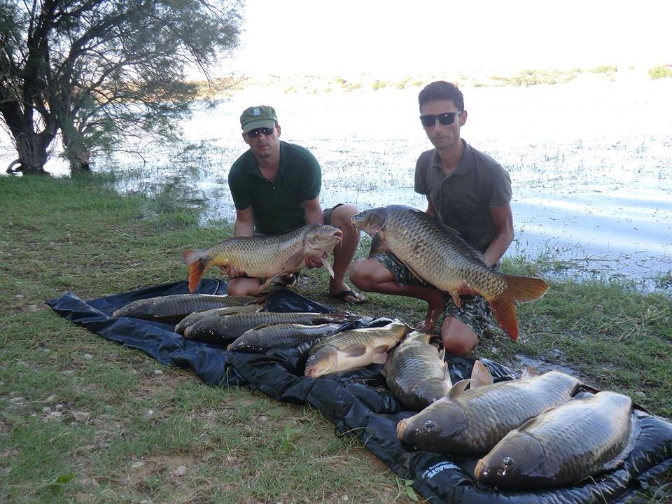 2013 - 2 - image111111.jpg